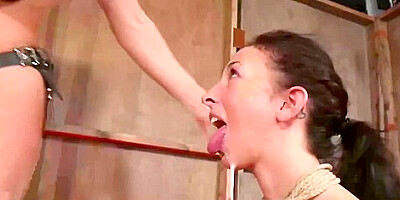Ingenious Jackies Oral Trailer With Jackie Ohh