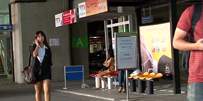 Thai Opor white wang stuffing