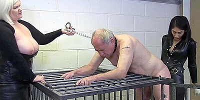 Cage 5