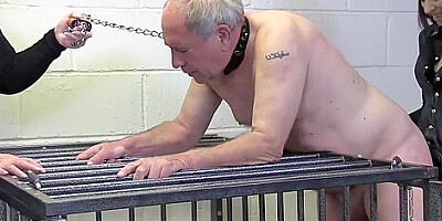 Cage 5