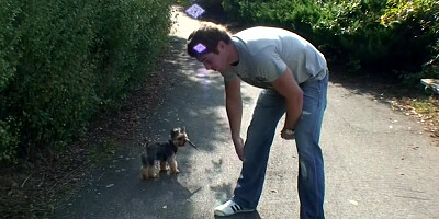 Nessa Devil in guy with a big rod fucks a gal in a homemade video