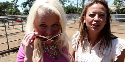 Angel Vain and her bitches flash their tits