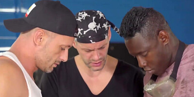 True Stories Quickie On The Highway