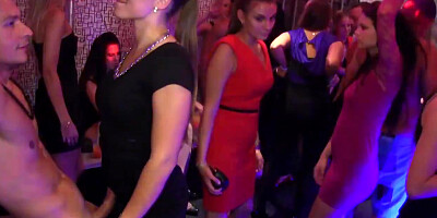 Real euro amateur party sluts enjoy cock