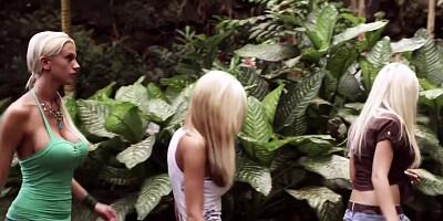 Amy Reid, Tanya James & Angelina Ashe - Busty Cops Go Hawaiian