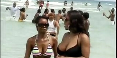 Thick Nut Sack Candids, Thick Nut Sack Candids - 100+ Sumptuous Chicks