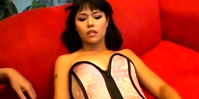 Ingenious Dana Vespoli and Nikki Nievez's blowjob smut