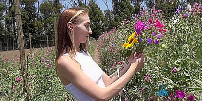 Breezy Bri Farm Date 1