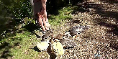 Kyler Quinn - You Take Kyler On The Road For A Day Trip