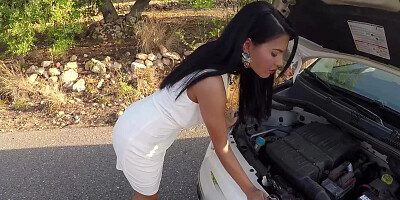 The posh and the guido