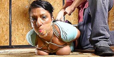 Site Alexisrainboxhogtie
