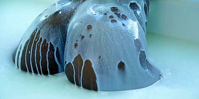 Horny ebony lady screwed hard by white dude