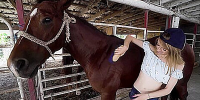 Johnny The , Kristy May Kristy May Rides A Stallion / 10.12.2019