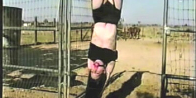 (Oldies But Goodies) PonyGirl Education OtO