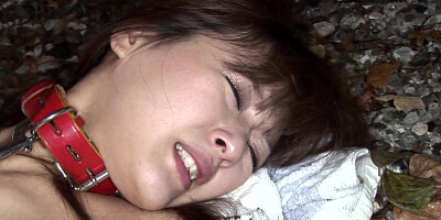 Japanese babe Sayo Hayakawa had a hard sex in the MFM