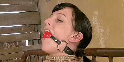 Gets It Hard With Elise Graves