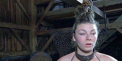 Harley Ace In In Trouble