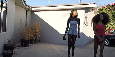 Bridgette B, Cecilia Lion, Kandace Monae