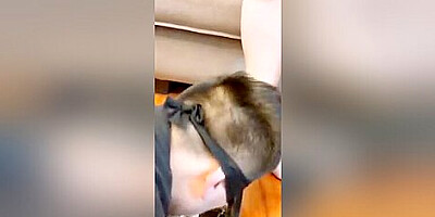 Chinese food crush and feed slave femdom