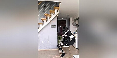 Self Bondage Suspension