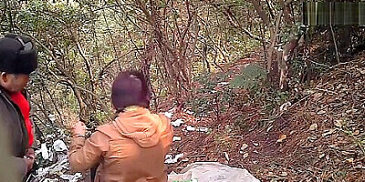 Chinese Daddy Forest 40