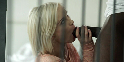 Zazie Skymm sucks BBC and gets fucked in standing position