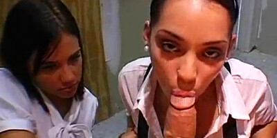 Hump at Work - Brandi Belle