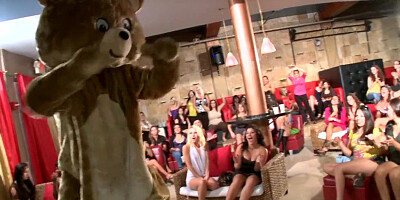 DANCING OTTER - Welcome To The World Legendary Palace Of Cub (Attire Is Optional)