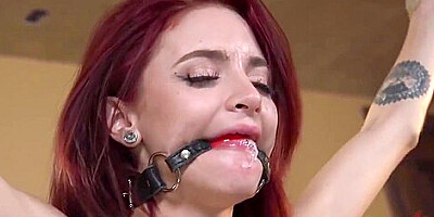 Hottest Adult Movie Hogtied Exotic , Watch It - Lola Fae