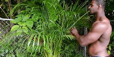 What would Zoraya's ex-husband say if he could see her now?