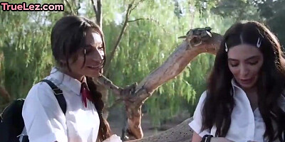 Exhilarated school nymphs are making love with each other and yelling, because it perceives so superb