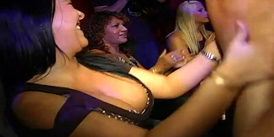 Whipped cream spices up a strip show with sucking and fucking action