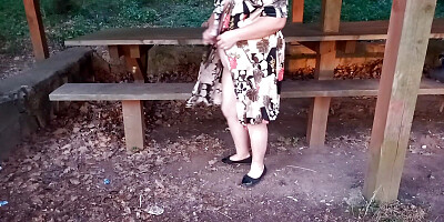 0017 Parking in the forest