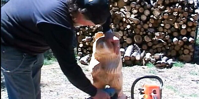 Noble Mia Smiles and Chris Cannon - facial cumshot dirt - Asian Addiction