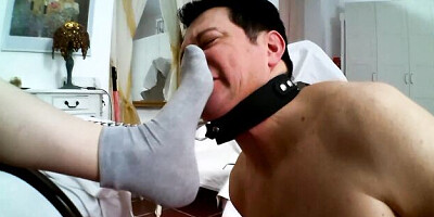 Tender queen bee's foot dirt