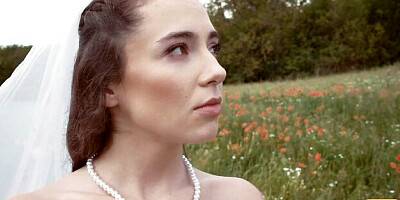 Puss's stockings clip