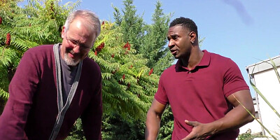 Angel Wicky - DogFartNetwork