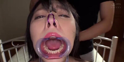 SYP083-ZXZAECVLGJ334523498