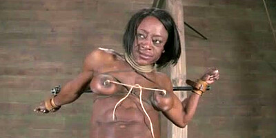 Ashley Starr Gets Cracked