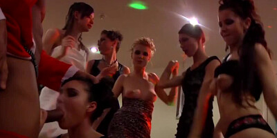 A party with plenty of hard liquor turns into a really hot orgy