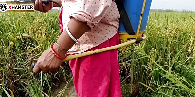village nomita Spray on rice plants Bengali audio dirty