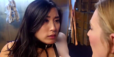 Breaks In Electro-pet With Mona Wales And Mia Li