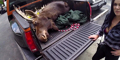 Pawnshop customers fucked in threesome by big white dick