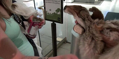 Watch plastic Karla Kush's trailer