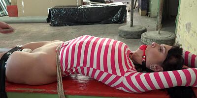 ...Dark-haired sub Sarah Simons gets tied up and toyed to orgasm...