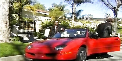 Goddess's sluts trailer