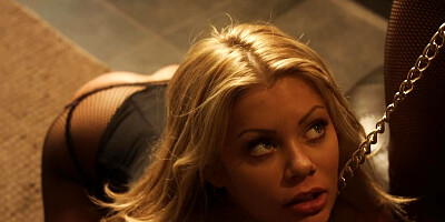 ...Kayden Kross and Riley Steele licking like there's no tomorrow...