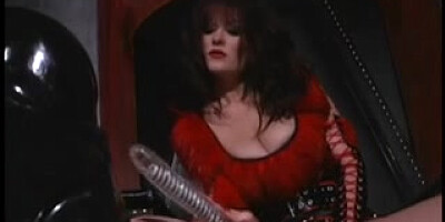 Dominatrix and her Gimps