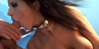 ...3rd Degree: A Threesome of Epic Proportions...