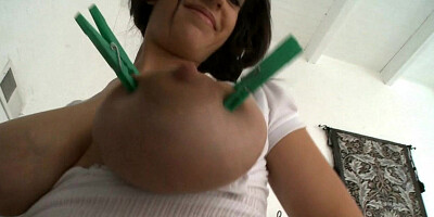 Open up Ya Booty in My Classroom Virginity Lynn, Cheyenne Bud, Eloa Lombard, John Stagliano